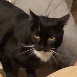 Meet your Posher, Erik